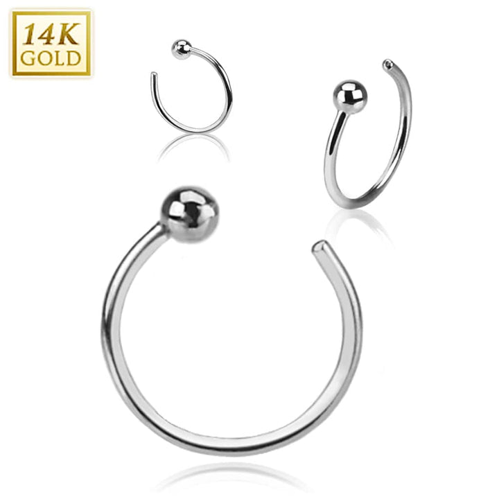 14KT Solid White Gold Ball Nose Hoop Ring - Pierced Universe