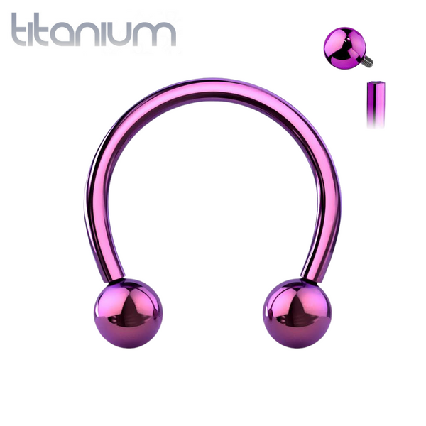 Implant Grade Titanium Internally Threaded Purple PVD Horseshoe Circular Barbell - Pierced Universe